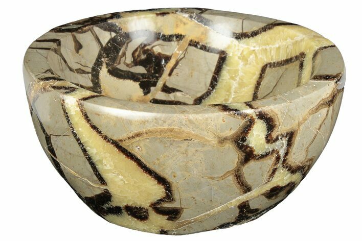 Polished Septarian Bowl - Madagascar #205350